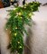 6FT Cedar Garland Realistic Christmas Garland with 16 FT LED Lights String